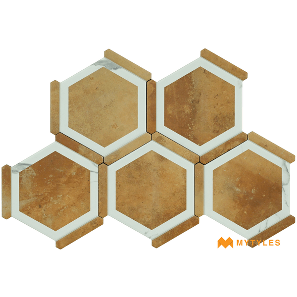 Hexagon Tiles-Imported Orange Hexagon Tile Code25217 (220x250mm, Matt)