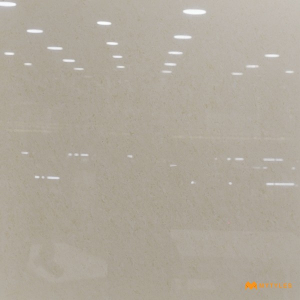 Solid Color Tiles-Vitrified Ivory Floor and Wall Tile Code31919 (800x800mm, Glossy)