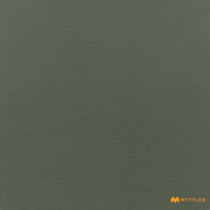 undefined-Vitrified Green Floor and Wall Tile Code24912 (600x600mm, Matt)