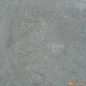 undefined-Ceramic Grey Antiskid Floor and Wall Tile Code28442FL (300x300mm, Matt)