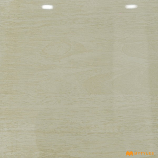 Nano Polished-Vitrified Nano Polished Floor and Wall Tile Code24735 (600x600mm, Glossy)