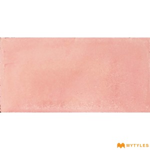 undefined-Athangudi Floor and Wall Tile Code30420 (127x254mm, Matt)