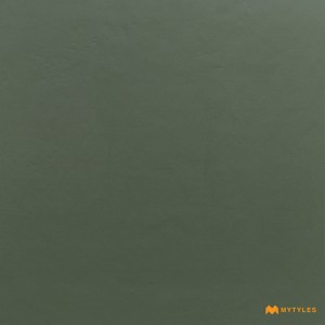undefined-Vitrified Green Floor and Wall Tile Code32036 (600x600mm, Matt)