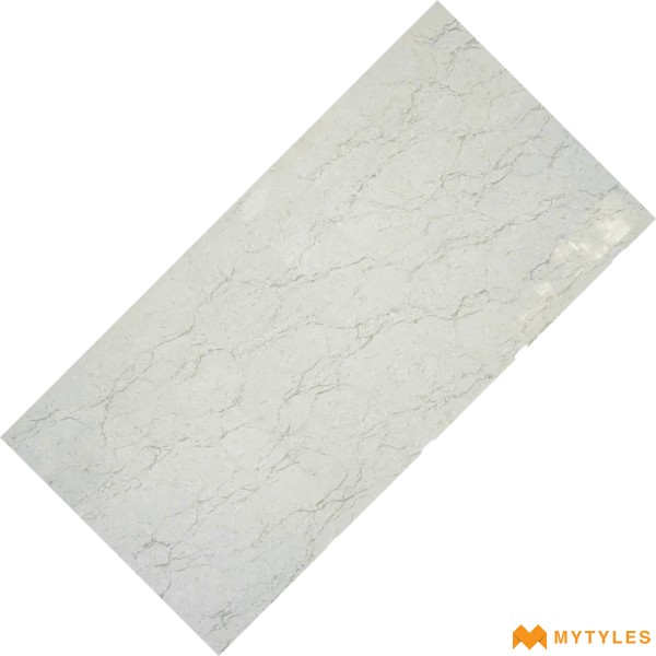 Double Charge Vitrified-Vitrified Double Charge Floor and Wall Code27960 (600x1200mm, Glossy)