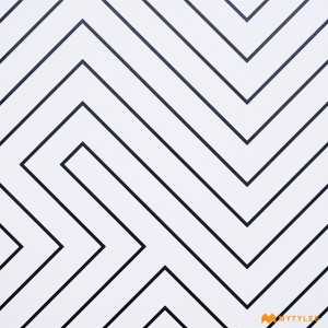 undefined-Ceramic White and Black Moroccan Floor and Wall Tile Code31322 (300x300mm, Matt)