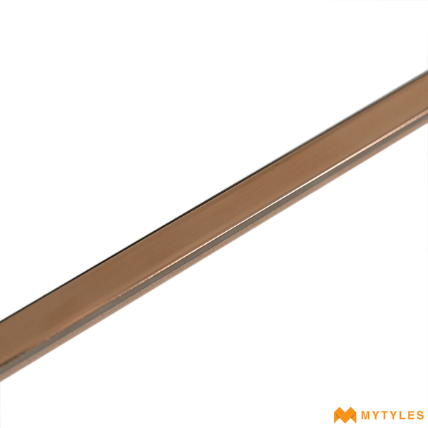 Border Tiles-Ceramic Border Tile Code19406 (10x600mm, Metallic)-22CFlat
