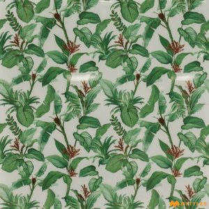 undefined-Imported Tropical Tile Code22000 (300x600mm, High Glossy)