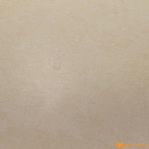undefined-Porcelain Floor and Wall Tile Code11370 (600x600mm, Matt)