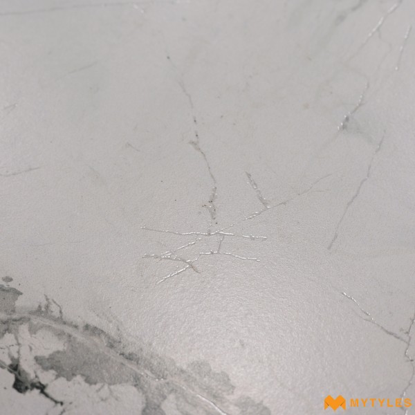 Buy 2x4 ft Vitrified Floor and Wall Tile Code16797 Online | Mytyles