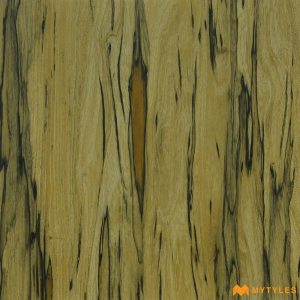 undefined-Porcelain Wooden Tile Code11345 (600x600mm, Matt)