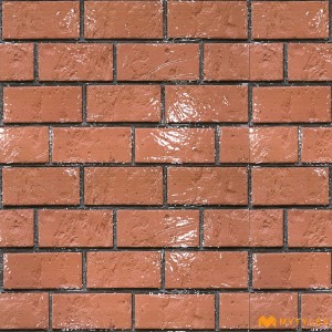 undefined-Ceramic Terracotta Elevation Wall Tile Code30259 (300x450mm, Glossy)