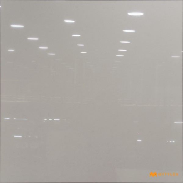Solid Color Tiles-Vitrified Cream Floor and Wall Tile Code31918 (800x800mm, Glossy)
