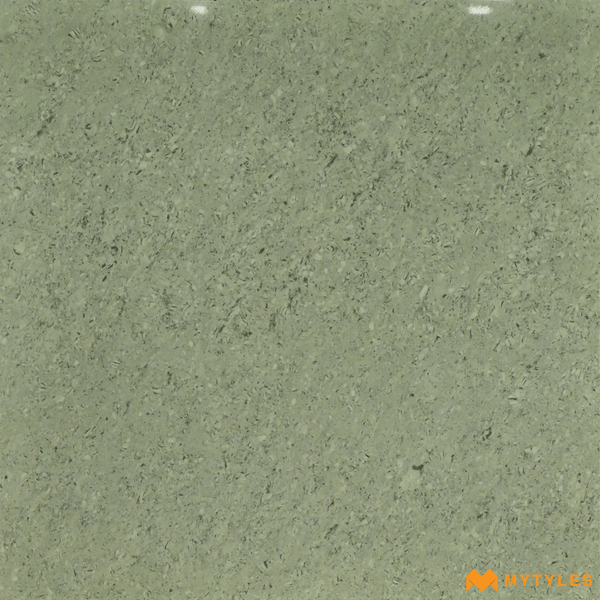 Double Charge Vitrified-Double Charged Vitrified Tile Code23505 (600x600mm, Glossy)